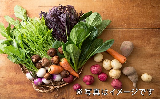 7月、9月、11月、1月の年4回、旬の野菜を詰め合わせにしてお届けします!