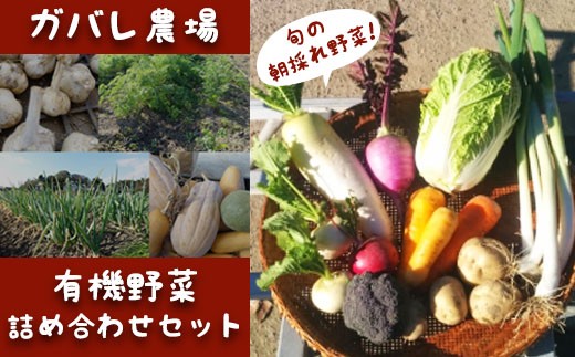 サンプル写真