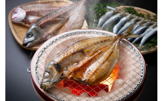 竹炭仕込みのこだわり一夜干し 厳選魚5種を約1 2kg 大分県国東市 ふるさと納税 ふるさとチョイス