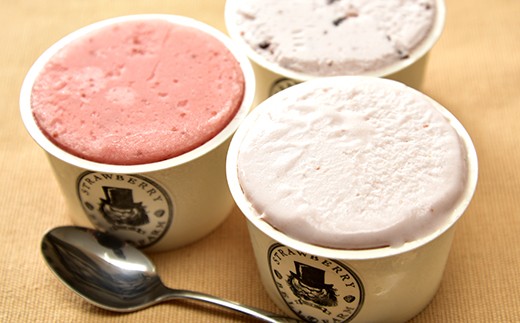 【千葉県横芝光町】J-9 苺のアイスクリームMILK＆SHERBET＆CHOCOLATE CHIP3種類×2個セット