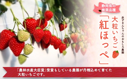 すべての美しい花の画像 トップ100愛媛県で生産されているレッドパールといえば何の品種