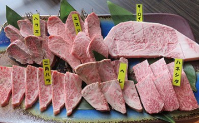 サンプル写真