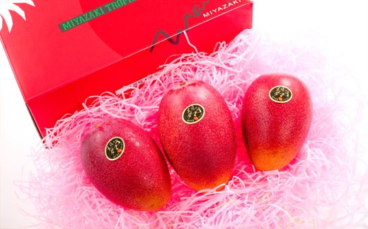 先行予約受付開始 完熟マンゴー 太陽のタマゴ よくばり3玉セット 百笑村 Skm19 宮崎県小林市 ふるさと納税 ふるさとチョイス