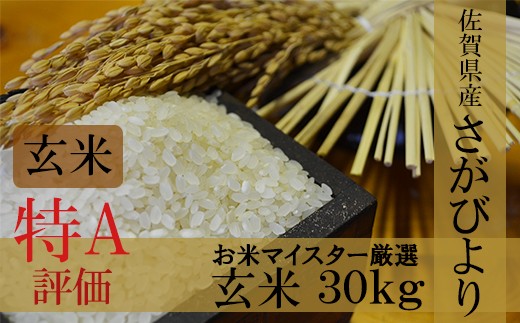 【九州限定】ヒノヒカリ 玄米 30kg 1等米 厳選米 令和3年 お米