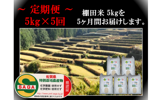 令和5年産棚田で育った特Aさがびより20キロ-