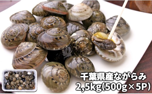 C01-H31 大粒むき身牡蠣 3kg（約20～30粒×3袋） - 千葉県長生村