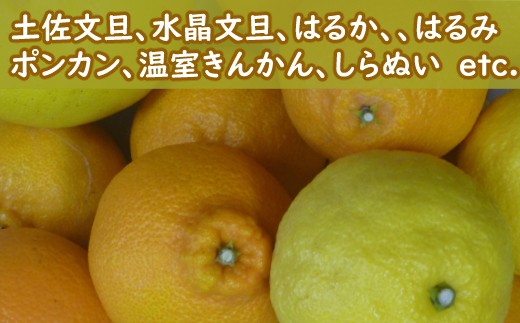 RK043【訳あり】柑橘詰め合わせセット(約2kg)