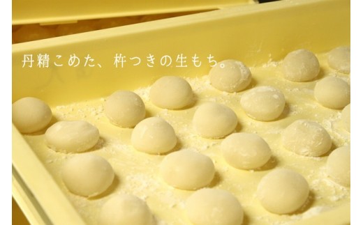 07 28 本格杵つき生もち 10個入6パック 福岡県築上町 ふるさと納税 ふるさとチョイス