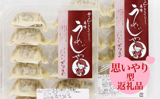 【思いやり型返礼品】【定期便】おばあちゃん乗せてけろじゃ・ぎょうざ 3ヶ月