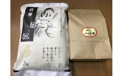 y򕌌}z[2020]򕌂̕ Hה׃Zbg