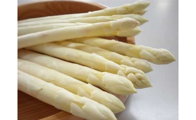 令和3年度産 ホワイトアスパラガス 2kg 北海道下川町 ふるさと納税 ふるさとチョイス