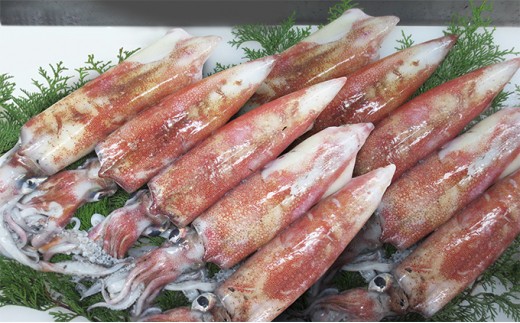 白 イカ 刺身の人気商品 通販 価格比較 価格 Com