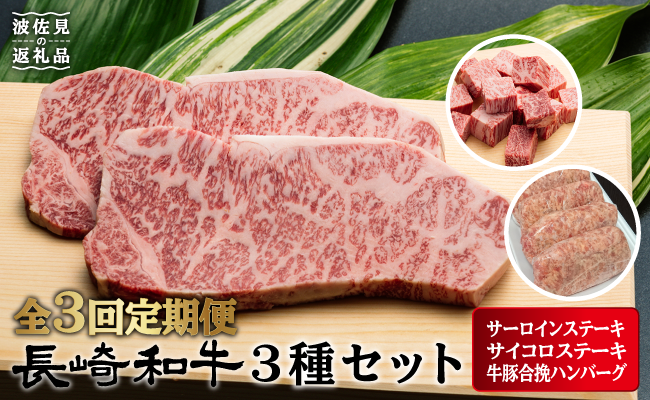 NA65 【全2回定期便】極旨!長崎和牛サーロインステーキ&サイ-1