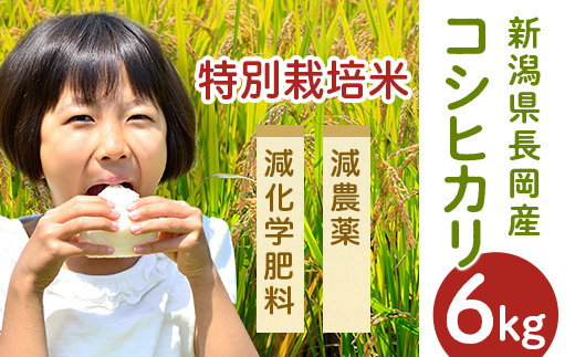 【H30年産】新潟県長岡産コシヒカリ(特別栽培米)6kg