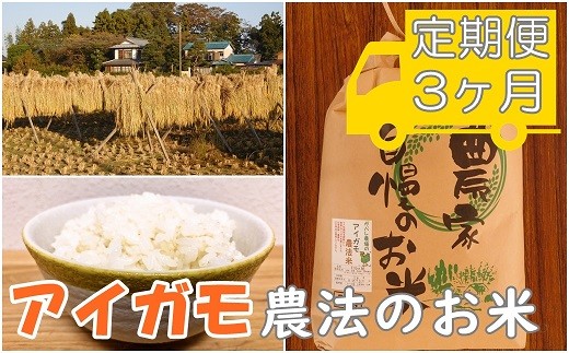 【アイガモ農法のお米＊定期便】ガバレ農場「大地の風」５ｋｇ×３ヶ月　玄米　精米歩合指定OK