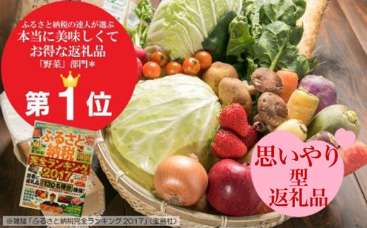 ふるさとチョイス野菜部門NO,1!岩手の野菜セット♪