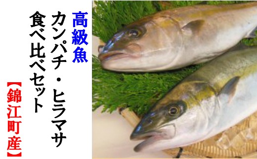 No 3005 ふる里館 カンパチ ヒラマサ食べ比べセット 鹿児島県錦江町 ふるさと納税 ふるさとチョイス