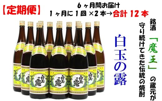 【鹿児島県錦江町】TK-001-1 【定期便:魔王の姉妹焼酎】<白玉の露> 1升瓶×2本 6ヶ月定期配送