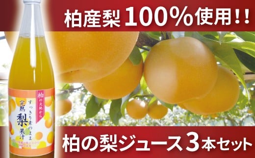 Bi 1 柏の梨ジュース3本セット 千葉県柏市 ふるさと納税 ふるさとチョイス