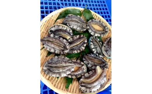 ※水揚げ、季節によって内容が変わります。