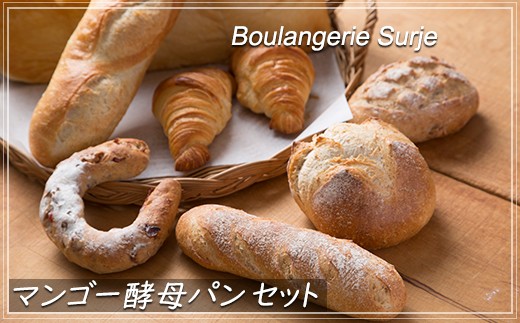 サンプル写真