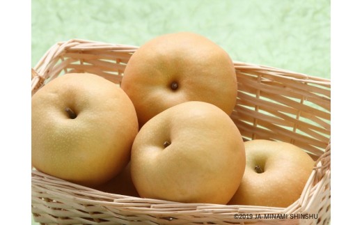 A20-52 JA直送品！南水梨_約5kgのサムネイル