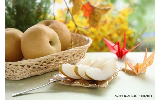 A20-51 JA直送品！プレミアム 南水梨_約5kgのサムネイル