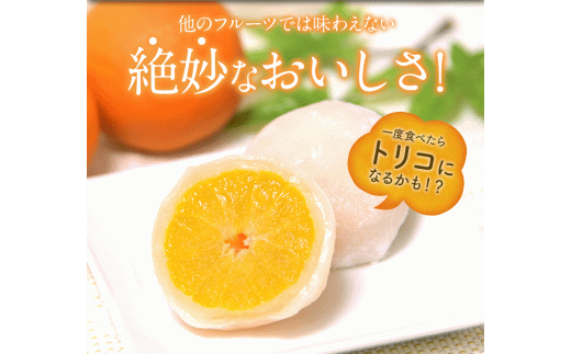 まるごとみかん大福18個 玉東町産みかん使用 1 5営業日以内に出荷予定 土日祝日除く 18個 スイーツ お菓子 熊本県 玉名郡 玉東町 白あん 和菓子 冷凍 熊本県玉東町 ふるさと納税 ふるさとチョイス