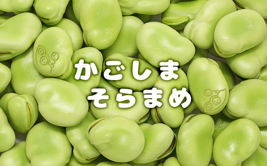 写真はイメージです。
