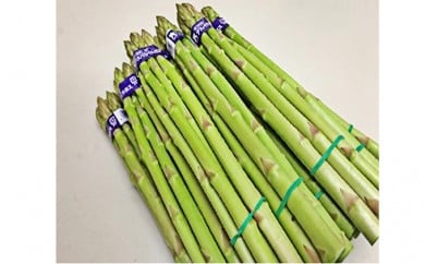 y쌧쒬z[5911-0115]쌧IWiAXpKXuʂ̂߂߁vt@1.5kg 