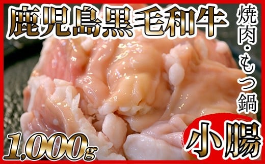 A 479 もつ鍋や焼肉に 鹿児島県産黒毛和牛小腸 約１kg 鹿児島県いちき串木野市 ふるさと納税 ふるさとチョイス