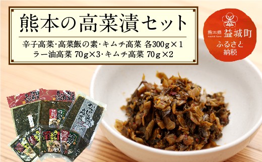熊本の高菜漬セット 辛子高菜 高菜飯の素 熊本県益城町 ふるさと納税 ふるさとチョイス