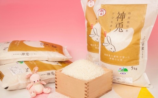 【鳥取県八頭町】特別栽培米コシヒカリ20kg