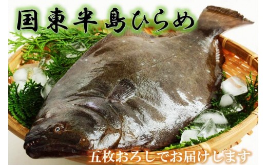 9252 着日指定商品 国東半島ひらめ 5枚おろし 1kg 通 大分県国東市 ふるさと納税 ふるさとチョイス 9252 着日指定商品 国東半島ひらめ 5枚おろし 1kg 通 大分県国東市 ふるさと納税 ふるさとチョイス