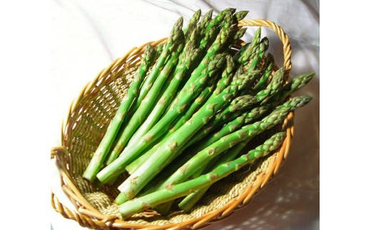 先行予約 22年5月 6月発送 期間限定 平留商店こだわり 岩手県産アスパラガス約800g 岩手県北上市 ふるさと納税 ふるさとチョイス
