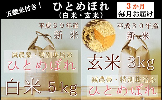 ひとめぼれの白米・玄米と五穀米つきを3カ月連続・月1回配送いたします!