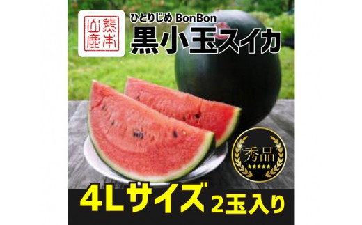 No 126 山鹿産 黒小玉スイカ ひとりじめbonbon 4l以上2玉入り すいか 果物 フルーツ 熊本県 特産品 熊本県山鹿市 ふるさと納税 ふるさとチョイス