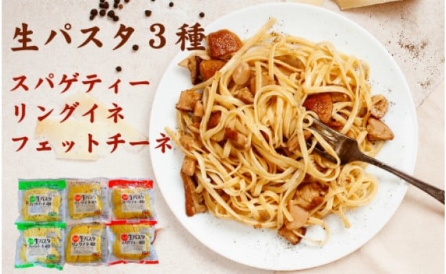 市場 送料無料 讃岐の麺職人が作った自慢の生パスタ 本格生パスタ8食分 フェットチーネx4食分 スパゲッティ リングイネx4食分