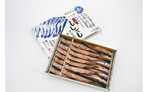 地元の通には身に味わいのあるオスが好まれます