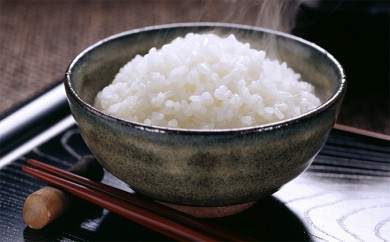 サンプル写真