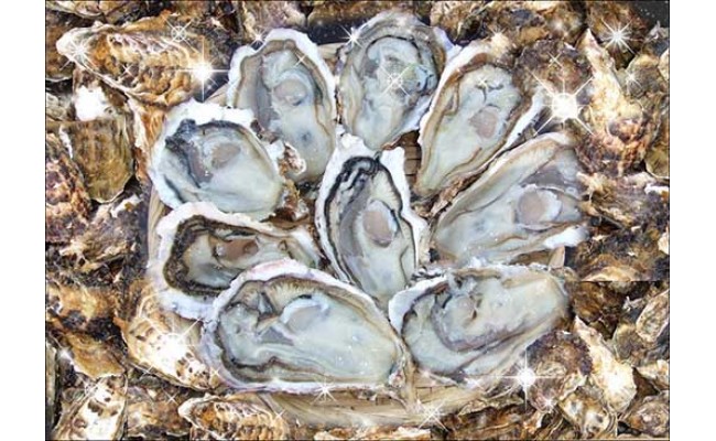 ★レンジで簡単★豊前海一粒牡蠣(大・小)食べ比べセット