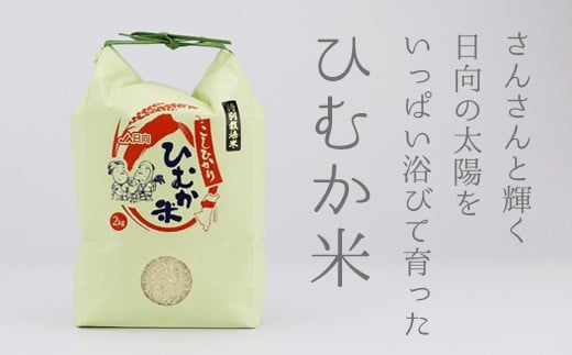 10 33 ひむか特別栽培米6kg こしひかり 宮崎県日向市 ふるさと納税 ふるさとチョイス