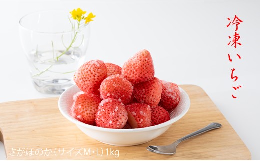 【佐賀県小城市】冷凍いちご（さがほのか）1kg フレッシュ チルド