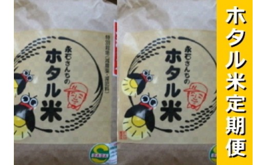 新米 永石さんちのホタル米定期便(10kg×4回)