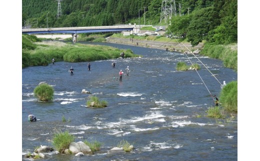 気仙川遊漁券