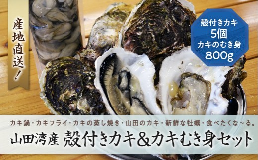 三陸 山田湾産 殻付きカキ