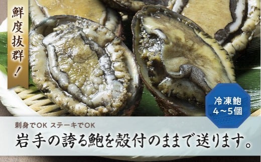 川秀の冷凍鮑 500g 三陸山田 山田町 エゾアワビ 三陸産アワビ 海産品 YD-445 - 岩手県山田町｜ふるさとチョイス - ふるさと納税サイト