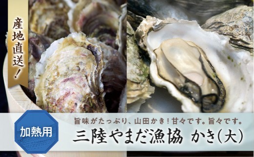 三陸やまだ漁協 かき(大)