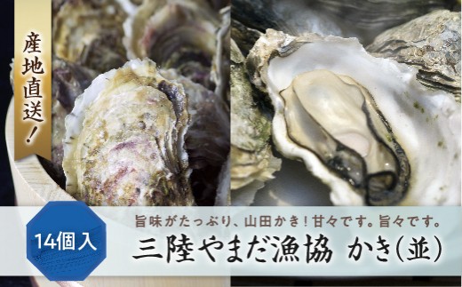 三陸やまだ漁協 かき(並)