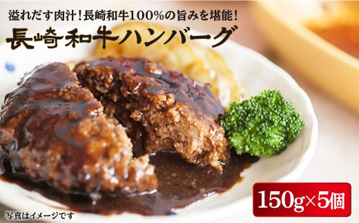BBU011 【長崎和牛】長崎和牛100% ハンバーグ 150g×5個-1